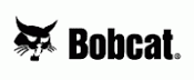 Bobcat
